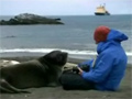 Seal Just Want to Cuddle video