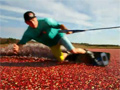 Wakeboarding With Cranberries video