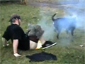 Dog Attacks Firecracker in Kid
