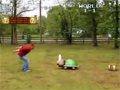 Real Life Super Mario Bros video