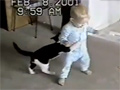 Baby Fight vs Cat video