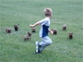 Puppy Gang Chases Kid video